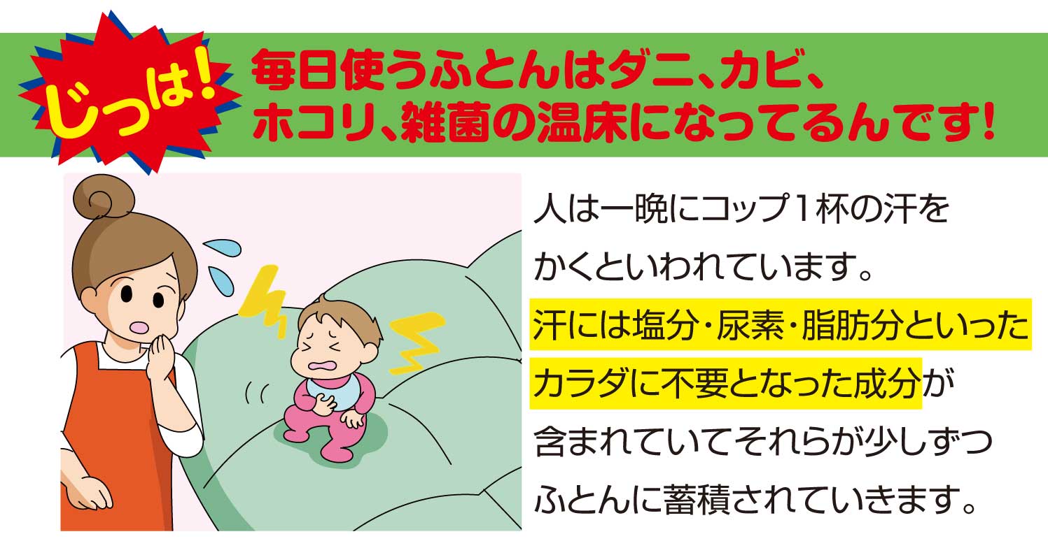 毎日使う布団はダニ、カビ、ホコリ、雑菌の温床になっているんです