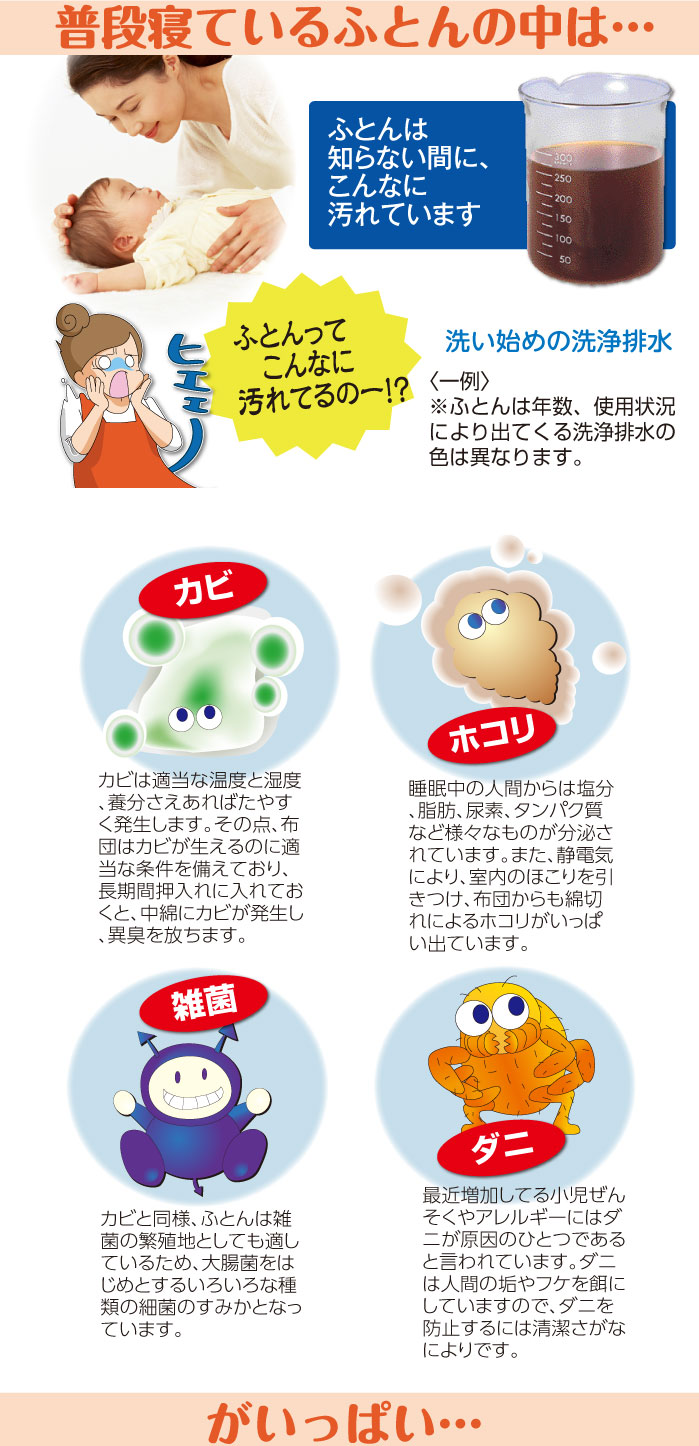 普段寝ている布団の中は