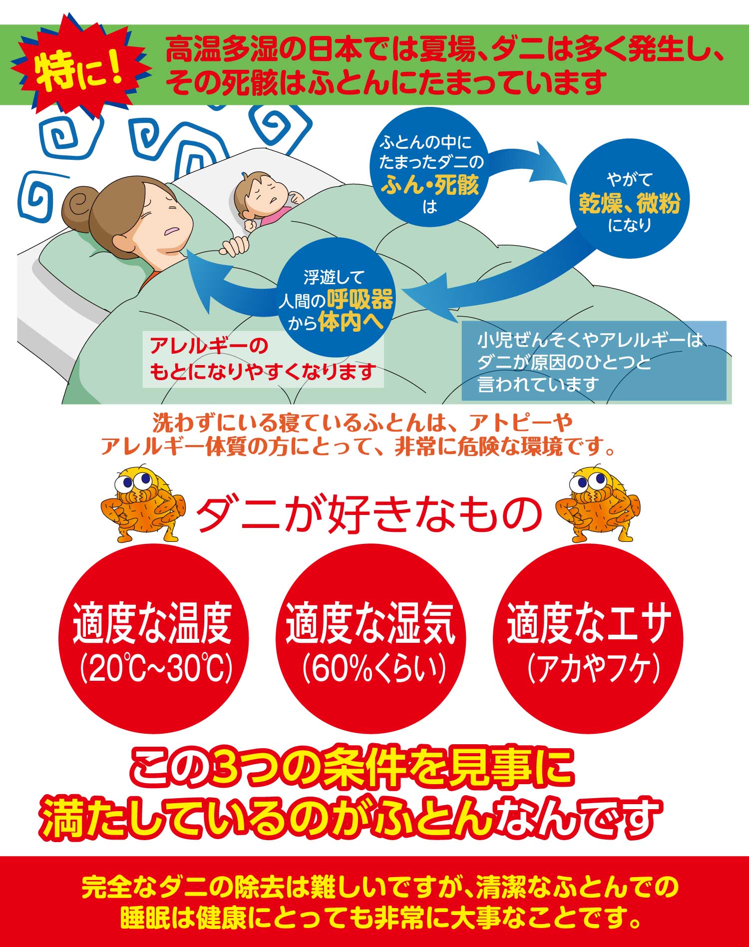 高温多湿の日本では夏場、ダニは多く発生し、その死骸は布団にたまっています