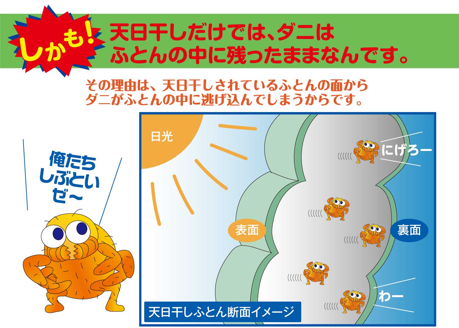 天日干しだけでは、ダニは布団の中に残ったままなんです