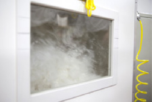 羽毛のパワーアップ